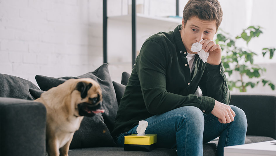 Purchasing an air purifier is one of the smartest methods to enhance your home’s indoor air quality. Discover more about the three smartest solutions. 